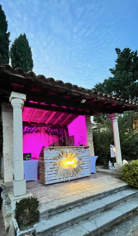 Service bar mobile premium pour événements privés et professionnels avec cocktails sur-mesure et flair bartending spectaculaire à Lyon et Saint-Bonnet-de-Mure dans le Rhône